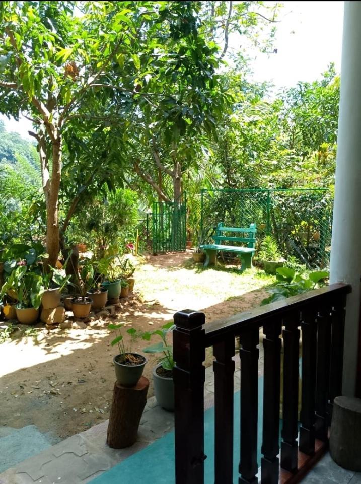 Pasan Guest Bed & Breakfast Ела Екстериор снимка
