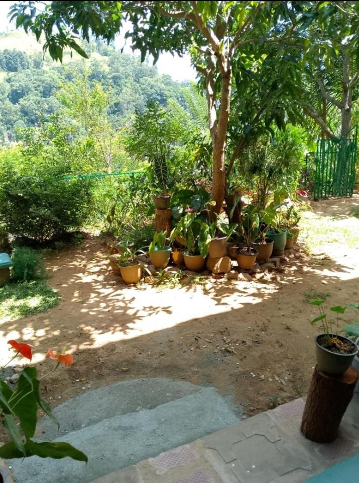 Pasan Guest Bed & Breakfast Ела Екстериор снимка