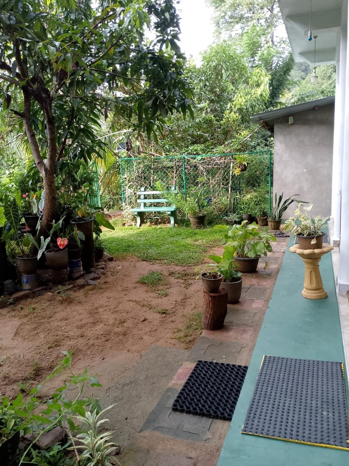 Pasan Guest Bed & Breakfast Ела Екстериор снимка
