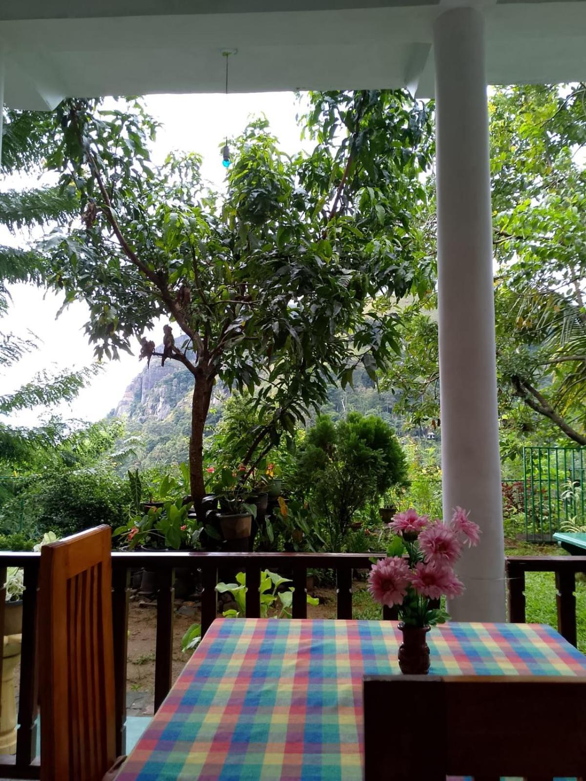 Pasan Guest Bed & Breakfast Ела Екстериор снимка